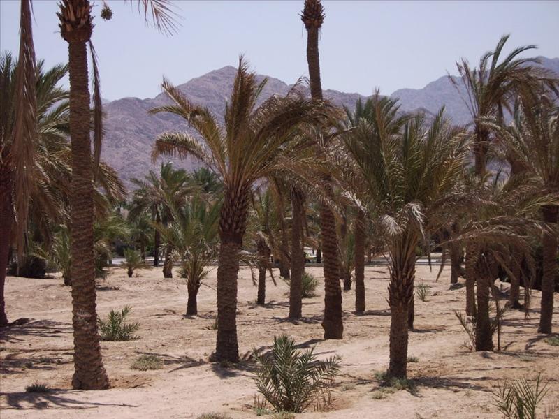 Aqaba  © Fernando López