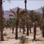 Aqaba  © Fernando López