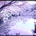 Sorakuen Garden (Stone Cold)