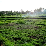 Bali Institute for Global Renewal: Thought Leaders Gathering in Ubud and Pemuteron, 