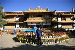 IMG_4603resized.JPG
