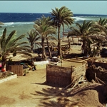 view from rooftop of guest house