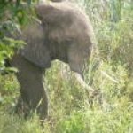 2008_0324SouthAfrica0032.JPG