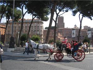 roma 041.jpg