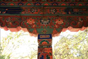 IMG_4630resized.JPG