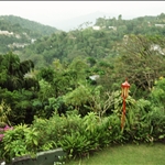 104.JPG