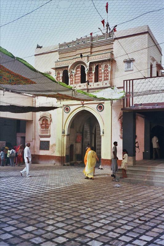 Templo de la ratas - Soul India