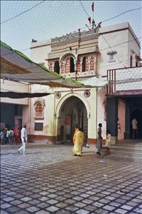 Templo de la ratas - Soul India
