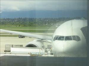 OUR PLANE to KOREA!!