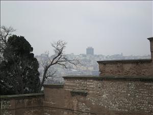 DSCN2331.JPG