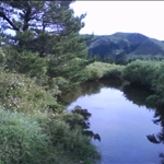 4aabcdbb388a2.jpg