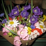 IMG_1211.JPG