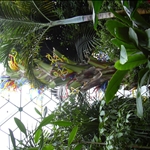 a glass yellow sculpture inside the dome