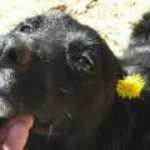 spring 097.JPG