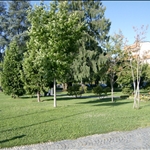 HPIM2071.JPG