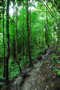 DSC_0364_1296x1936.JPG