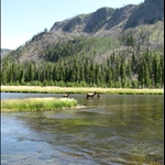 Yellowstone National Park