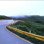 4aabcdbbb3196.jpg