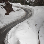 Is This A Road or A Snake.JPG