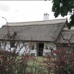 nuovo 197.jpg