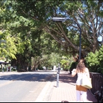 Kuranda