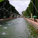 ... with elegant gardens....