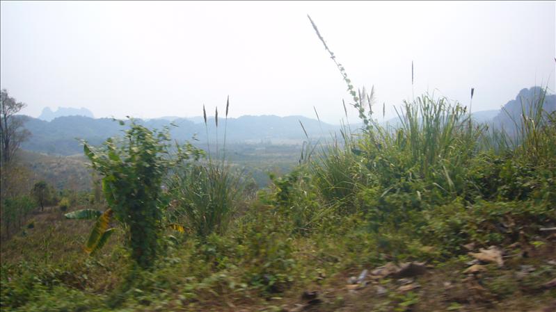 P1030012.JPG