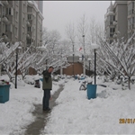 snow
