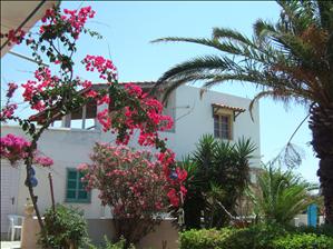 Near to the Sacallis Hotel, Kefalos Bay