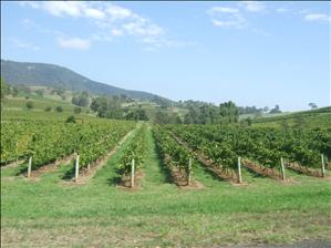 Hunter Valley