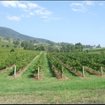 Hunter Valley