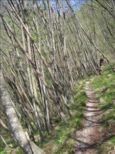 alpi apuane 188.jpg