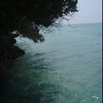 Prison Island