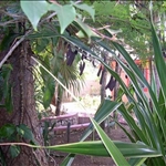 other cottages at Xtabi
