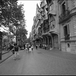 n603002188_318118_874.jpg