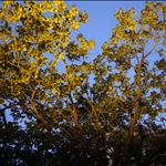 P1050664.JPG