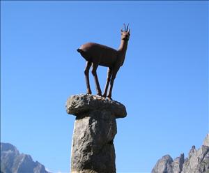 .. and the chamois at another nearby.