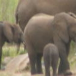 2008_0324SouthAfrica0008.JPG