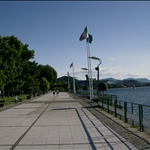 arona