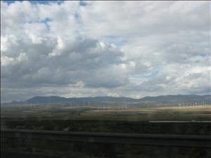 IMG_3485.JPG