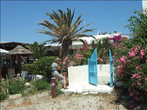 Near to the Sacallis Hotel, Kefalos Bay