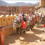 Amber Fort, elephant ride.
