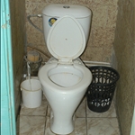 DSC_338.jpg