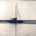 DSC_4256.JPG