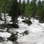 Still a lot of snow on the ground....