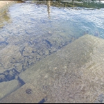 look how clear the water is