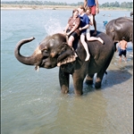 Sophie, Suzanne & me, Chitwan