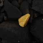 Island2008 1565.jpg