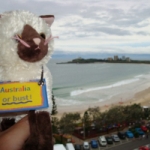 A Travel Companion, Curtesy Of Viv And Scottie. I