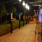 IMG 025.jpg